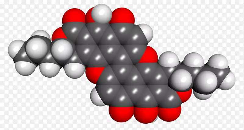 ��ָ���-������