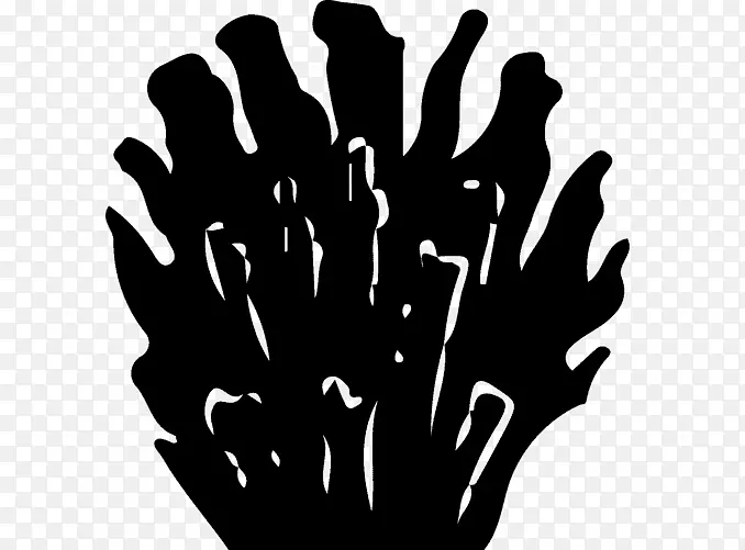 ��ģ����ָ��ɫ������-��-������