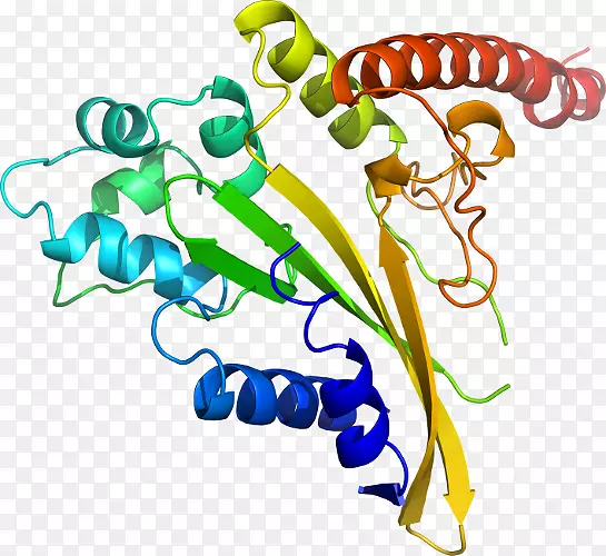 ����ֲ�ﾥ���鱦�߼�������-������