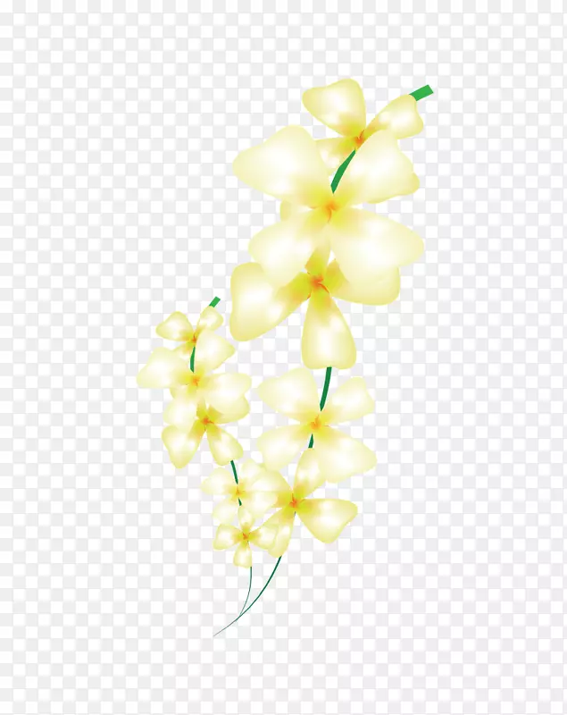 ��������л����������ɶ꣬����-������