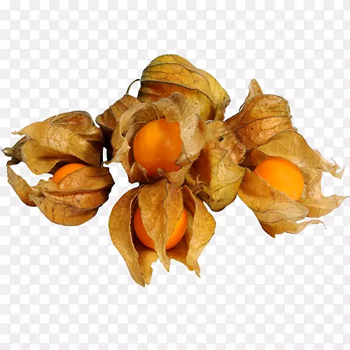 ��³��ӣ���߲�-������