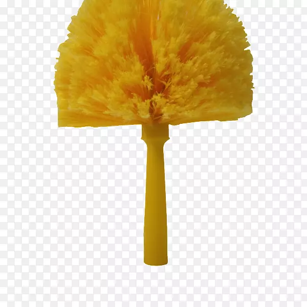 ����������һ������-��ɫ��֬-������