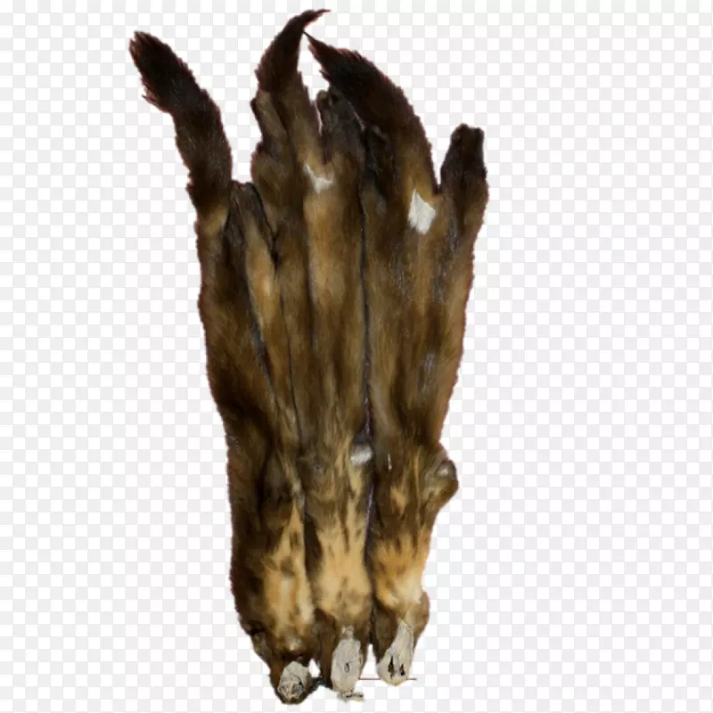 ŷ����β��-������