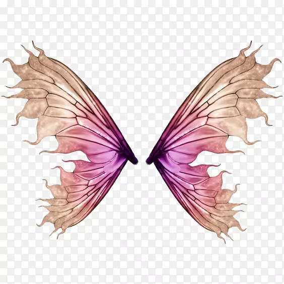 ������Ӱ-�������-������