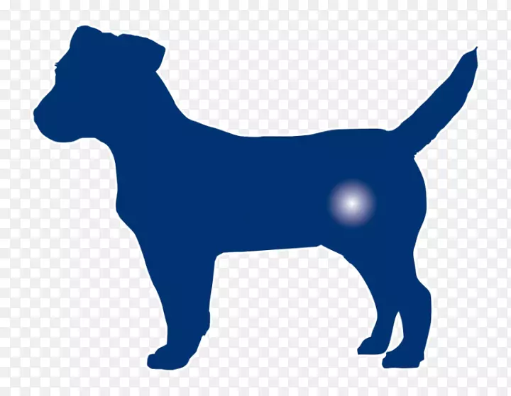 ����С�����Ӽ�����-С��-������