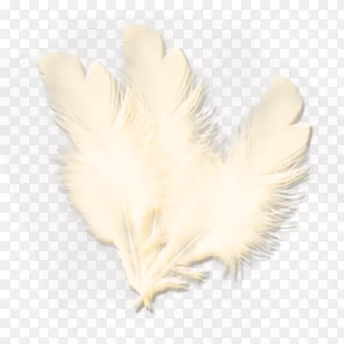 ��ë��β��ֻ���ë-������