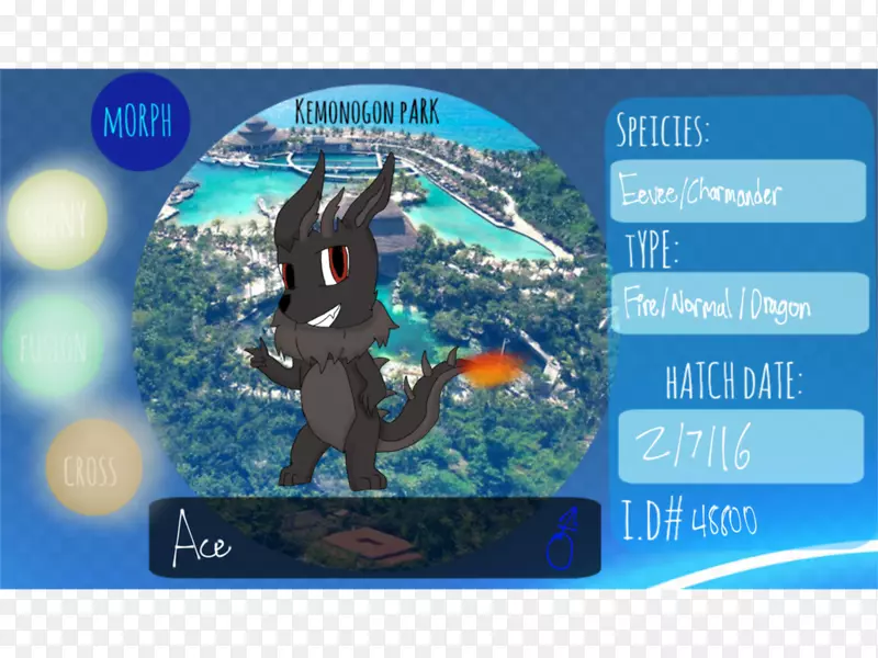 �Ŀ��ع�԰������ý����Ӱ.����-������