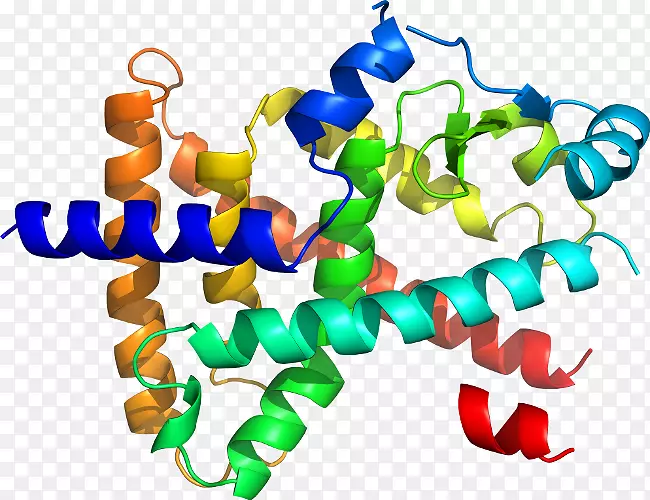 ���������л����߼�������-������