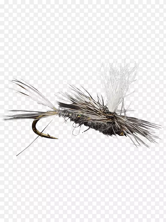 �����˹�Ӭ-������