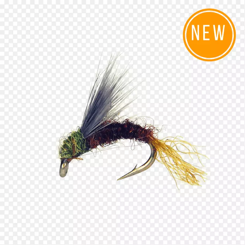 �ƻ���Ӭ�����˹�Ӭ������-����-������