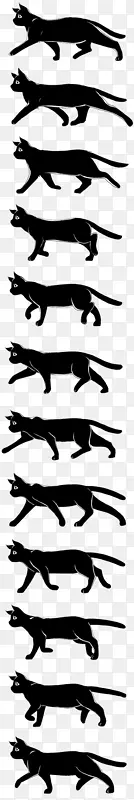 è��ѭ��������Ӱ������è-������