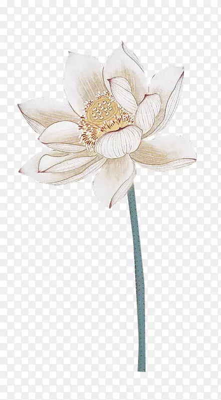 ����ˮ�ʻ�-������-������