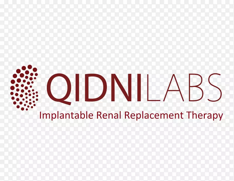 �̱�����������-�����ʼ�-������