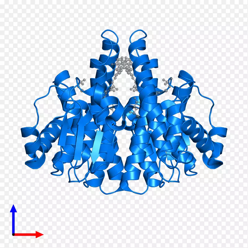 �߼�����-��-������