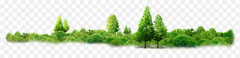 ̩��������-������-������