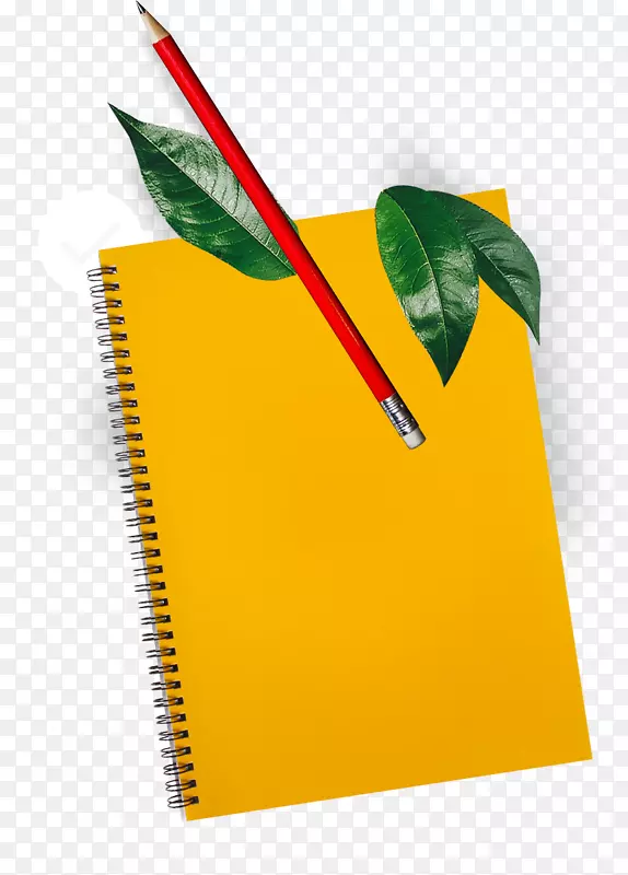 ��׿��������MacOS-android-������