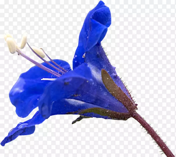 ����-������