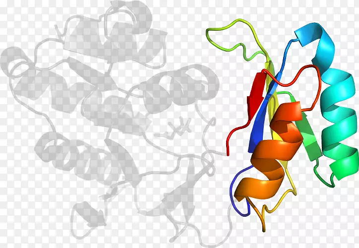 ƽ����Ƽ�����.���-������