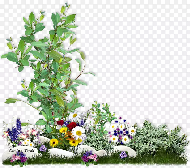 ��԰��԰���ͼ�����-��԰-������