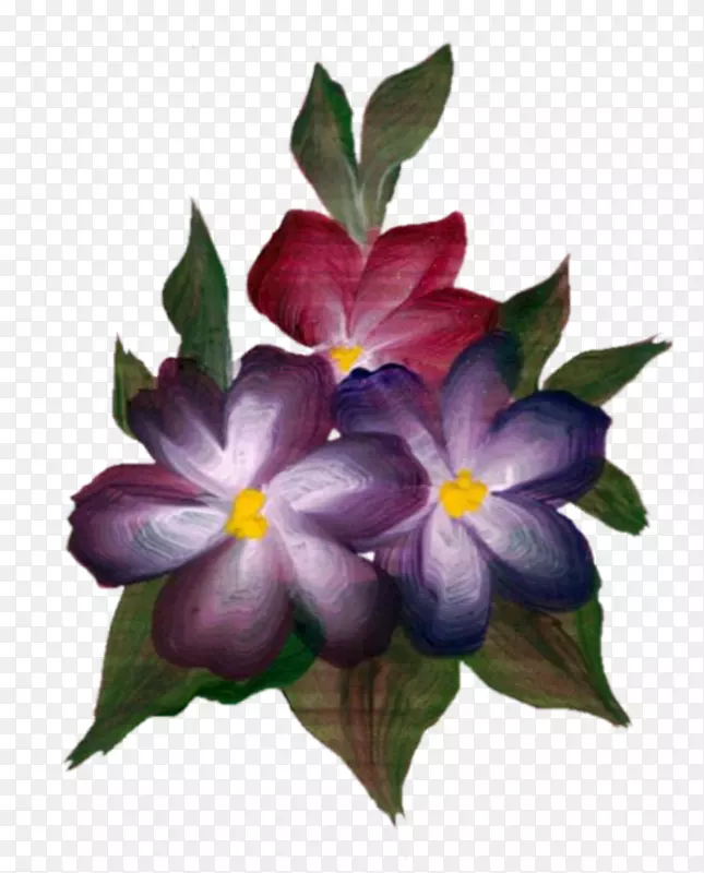 ����ֲ��ݱ�ֲ��-��ë-������