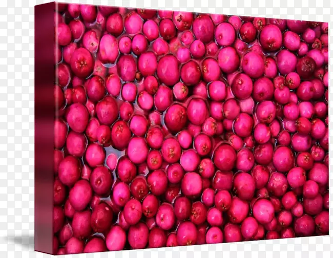 ��Խݮ������ҵ��ͨ����Ƥë����-��ͨ����Ƥë-������