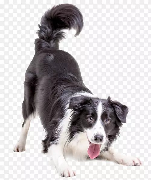 �ֲ�����Ȯ�߾�����Ȯ���������Ȯ��ë��Ȯè��ë��Ȯ-������