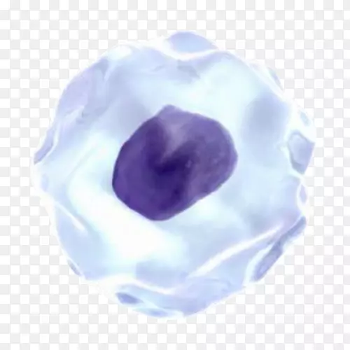 �鱦����鱦����-������