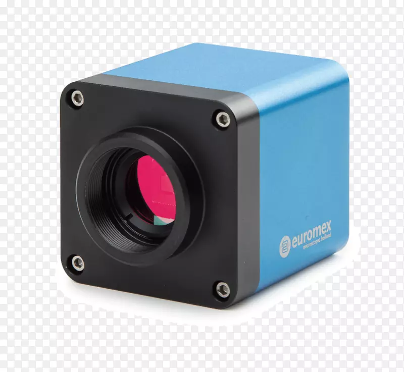 �������������Ӹ��������-������