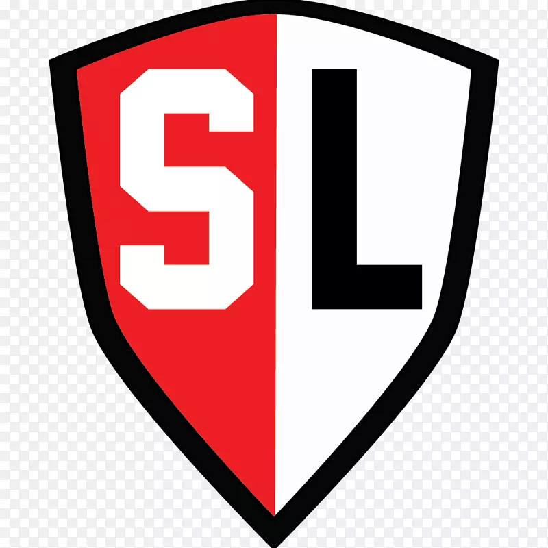 �̱��������-������