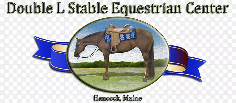 ���ձ��Ż��������ʼ���-������