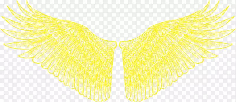 �ƾ�ͼ��-��ɫ���-������