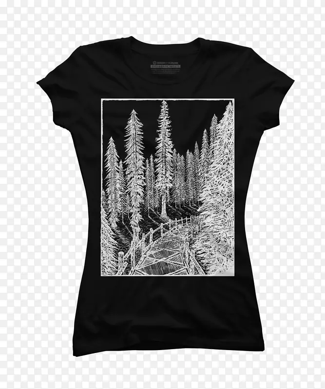 t���侱��ɫm-t��-������