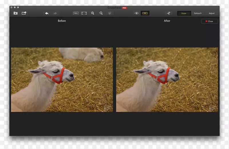 ����ֳ�����������-����\����-������