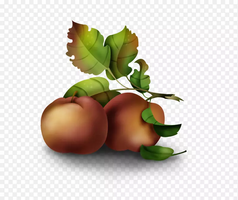 ��ʳʳƷ������Ӱ����ʳ��-ƻ��-������