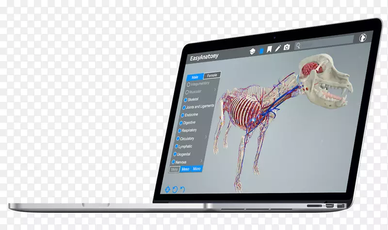 dru?inamacbook�ʼǱ�����-������