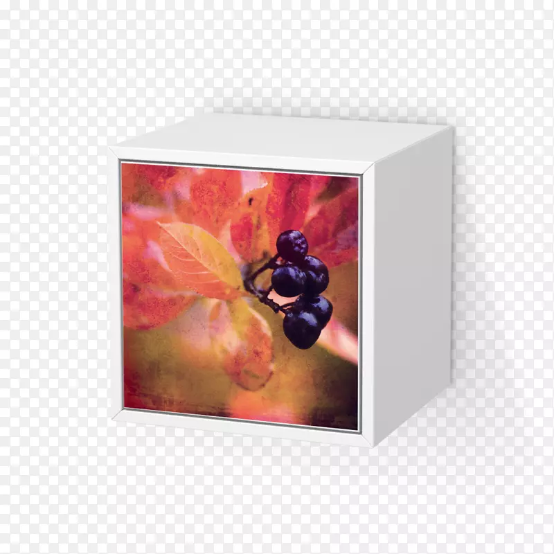 ����ڳ�����Ĥ-�＾�۸�-������