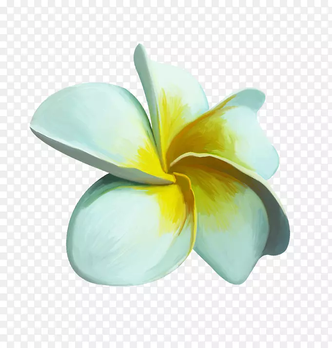 ����ֲ��-ֲ��-������