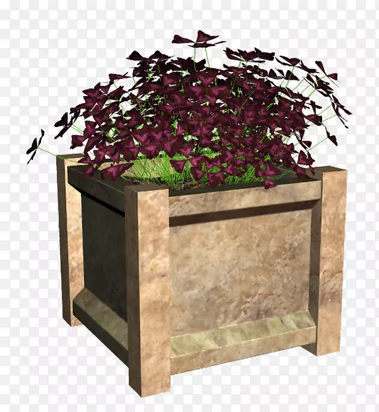 ������ֲ��-������