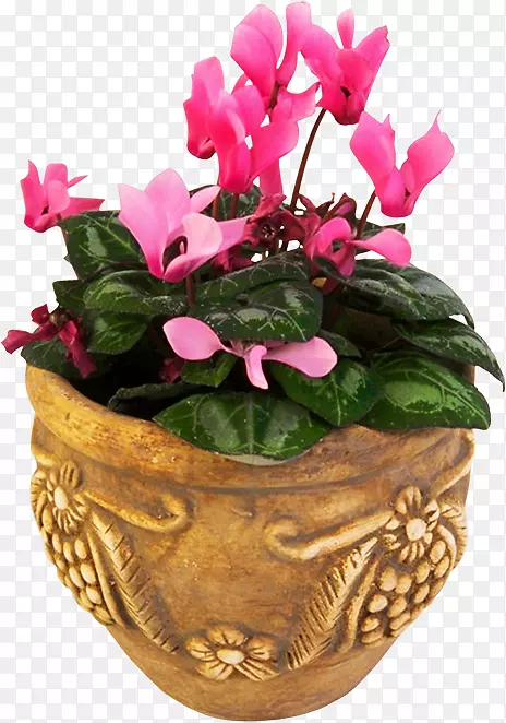 �����ɿ����������-������