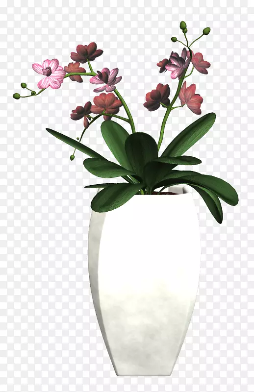 ��������л�ֲ�ﻨ��-����-������