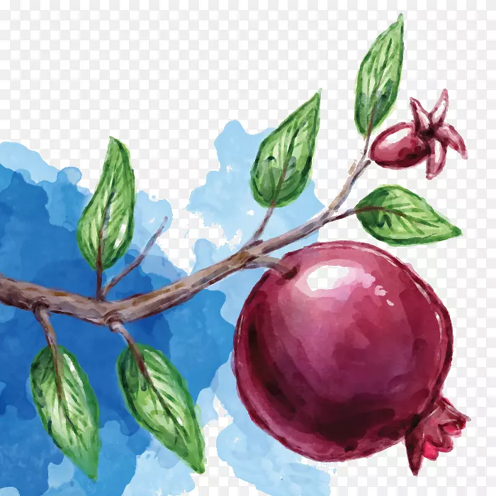 ʯ��֭ˮ��ʳƷʯ��-������