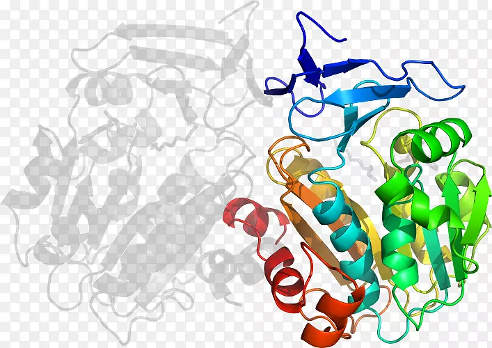 ƽ����Ƽ�����.���-������