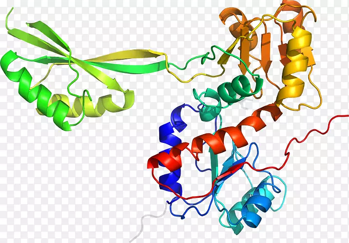 ���������л����߼�������-������