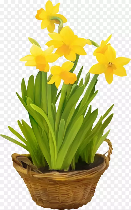 �л�ˮ�ɻ�������-������