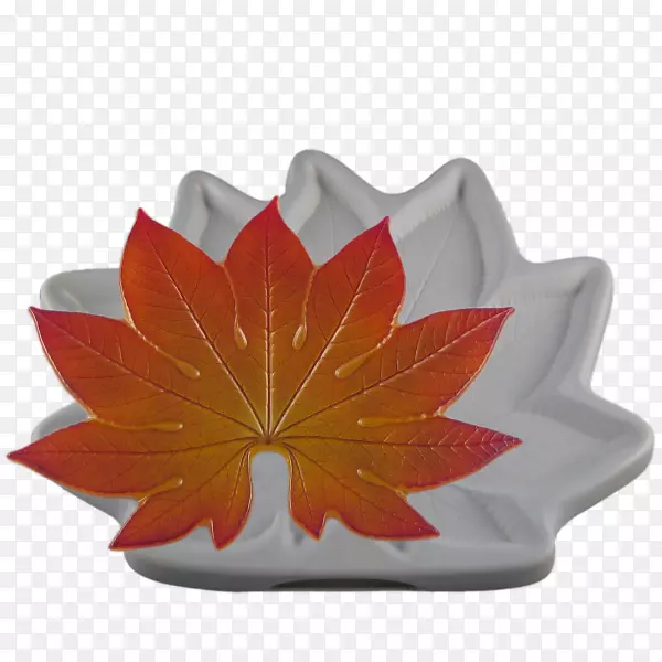 �۶ϲ���������������.�ֻ漼��֤��-������