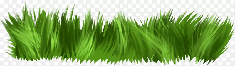 ��ʼ�����-�̲�-������