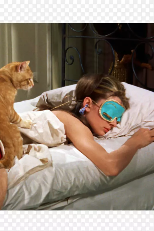 �����Ƭ�������ά�Ǳ�ɭʳƷ-���-������