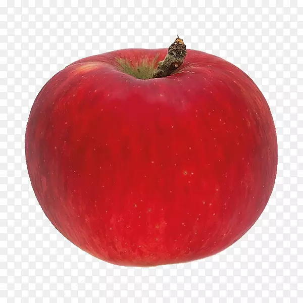 ��ʳʳƷ��ʳˮ����ȻʳƷ����ʳƷ.����-������