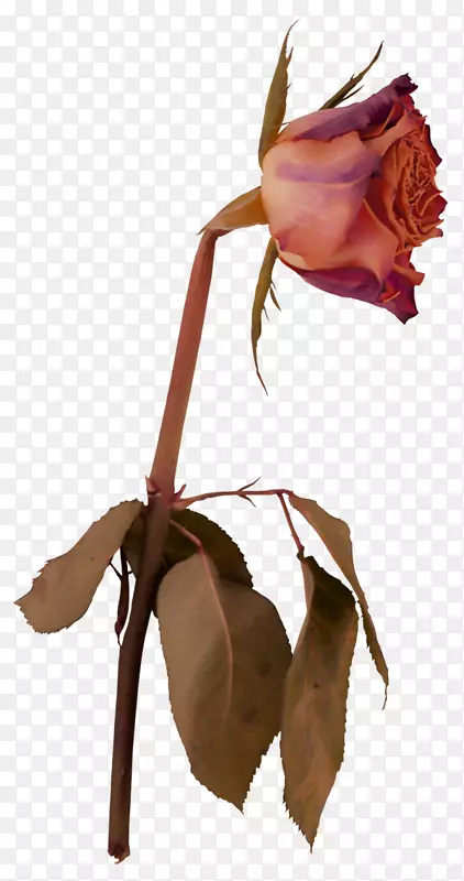 �廨����-������