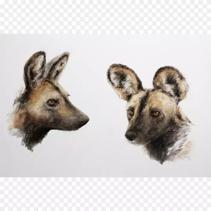 Ȯ�ֶ������ëƤҰ��-������